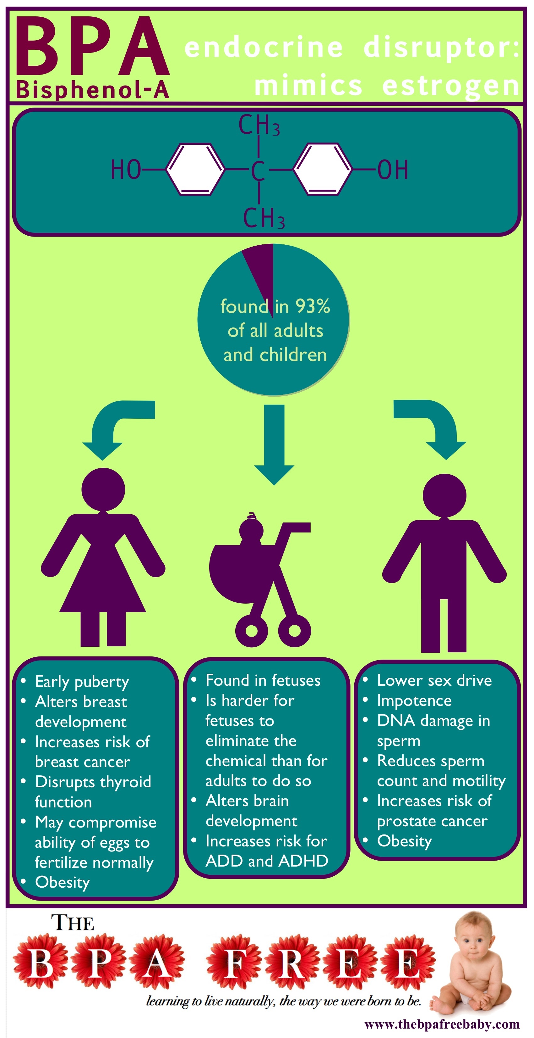 https://www.bigberkeywaterfilters.com/media/mageplaza/blog/post/2013/07/BPA-infographic.jpg