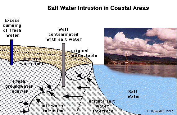saltwater climate