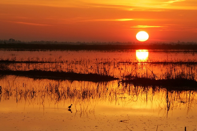 Groundwater Warming in Sync with Atmosphere